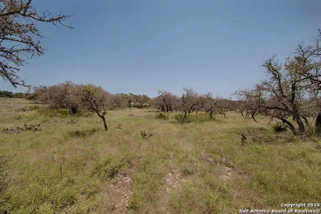 379 Bent Tree Harper, TX 78631