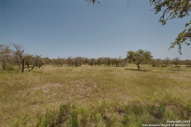 379 Bent Tree Harper, TX 78631
