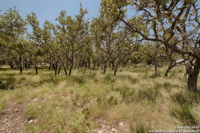 379 Bent Tree Harper, TX 78631