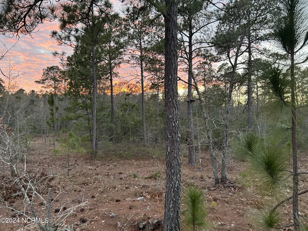 326 Sand Ridge Road Hubert, NC 28539