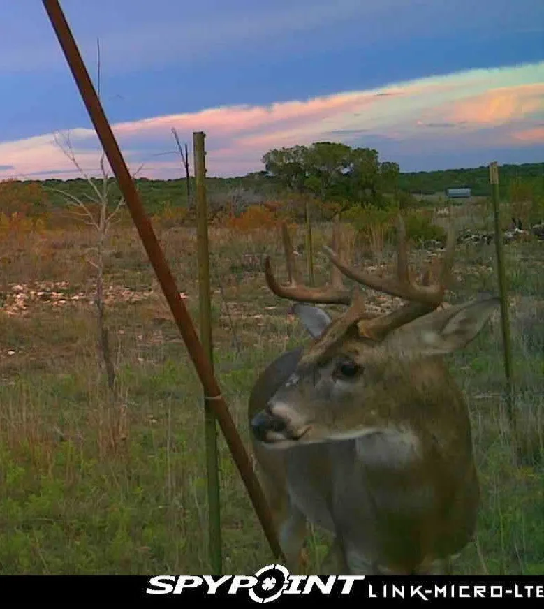3402 County Road 196 Blackwell, TX 79506