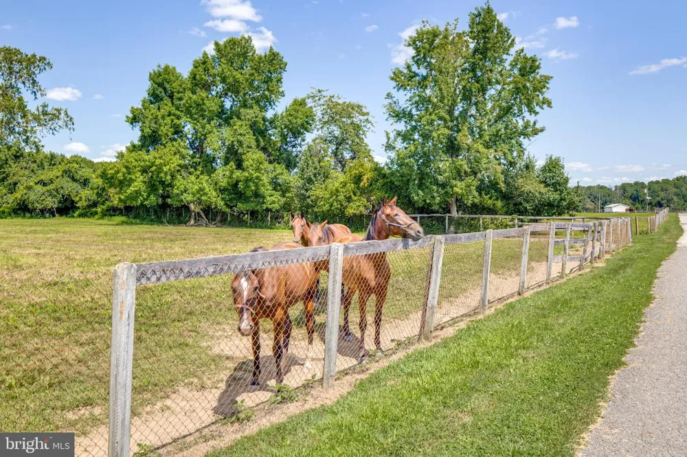 36 WHITE PINE ROAD Chesterfield, NJ 08515