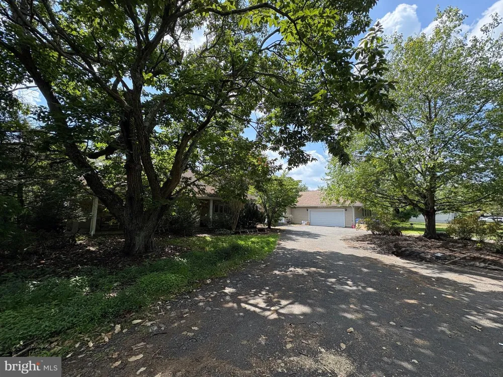 36 WHITE PINE ROAD Chesterfield, NJ 08515