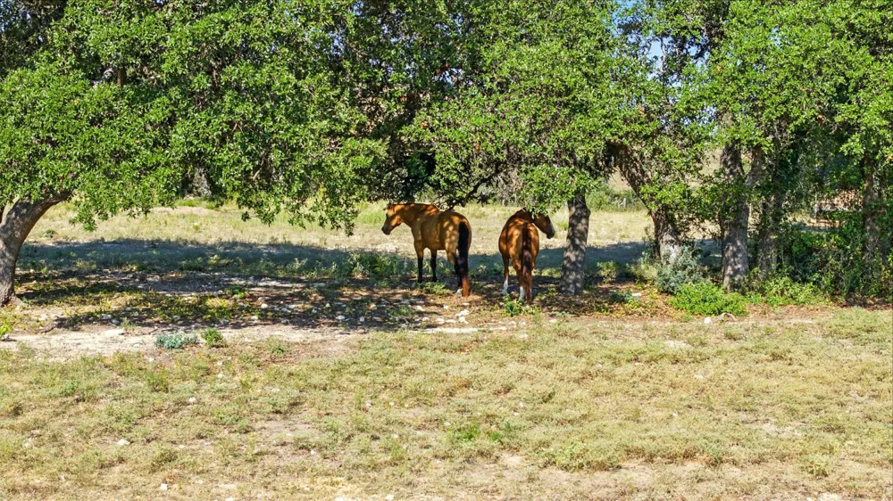753 W Sunset Drive Johnson City, TX 78636