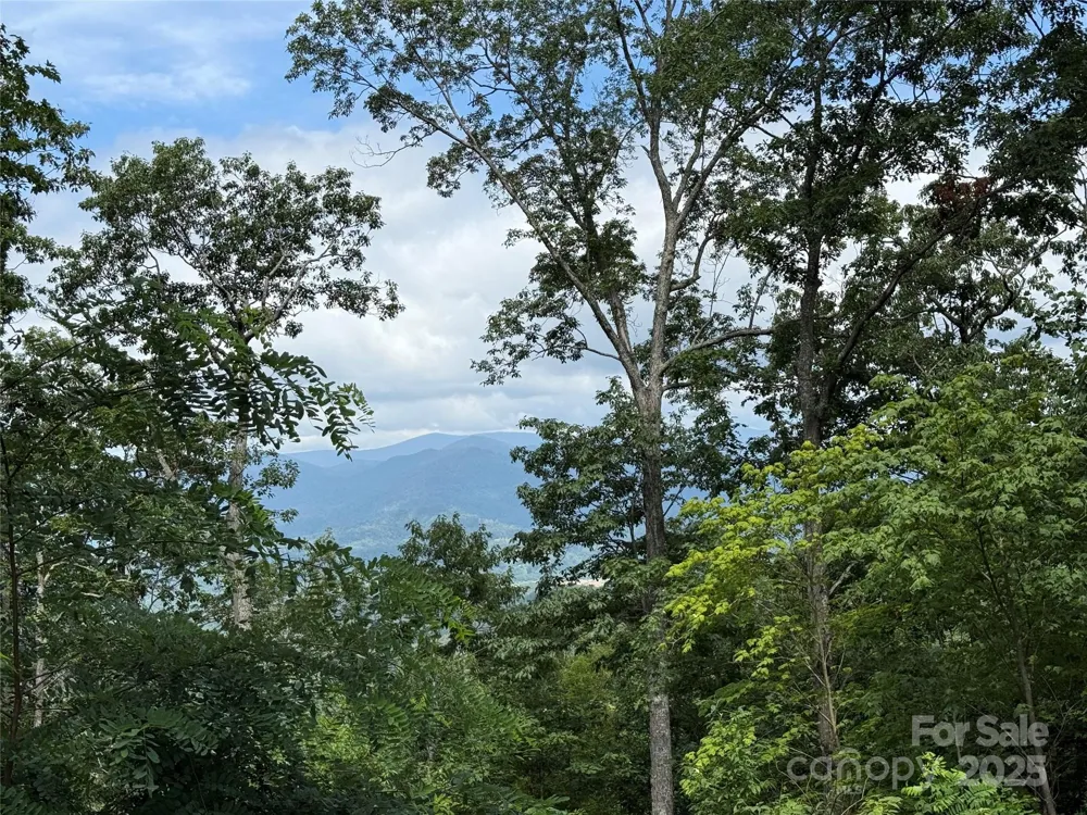 Lot 20 Heritage Ridge Road #20/4 Burnsville, NC 28714
