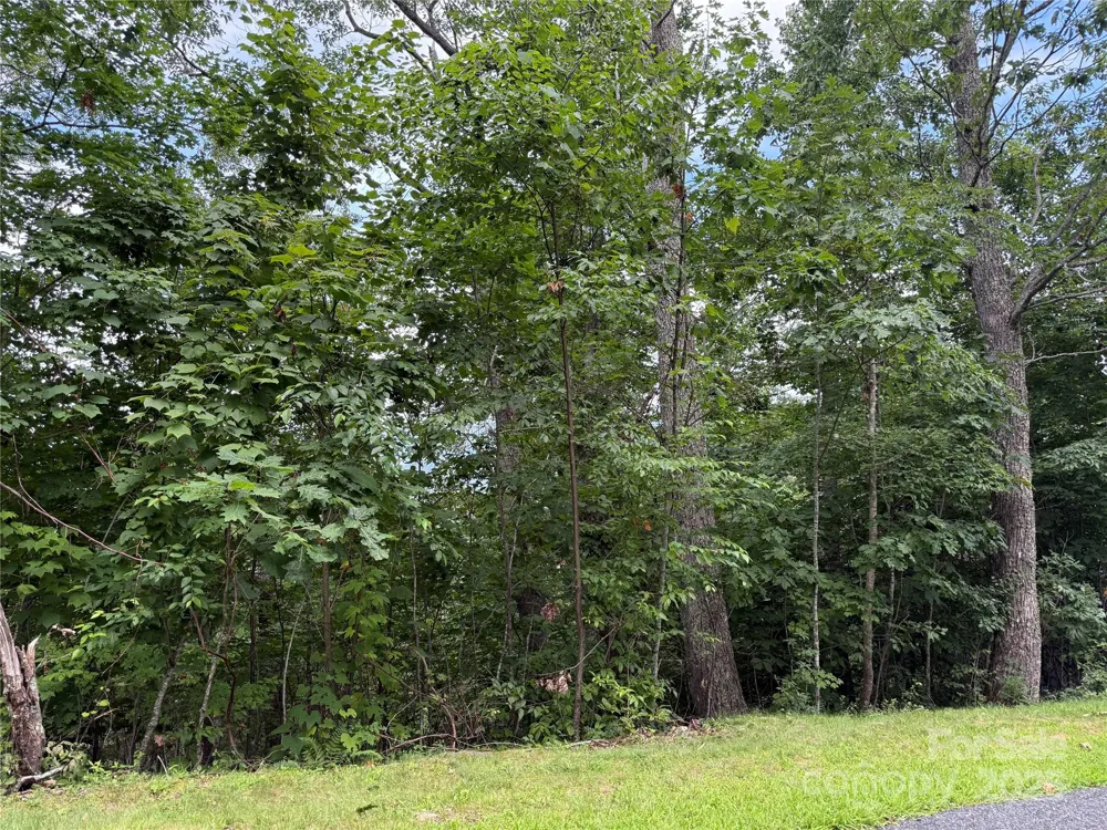 Lot 20 Heritage Ridge Road #20/4 Burnsville, NC 28714