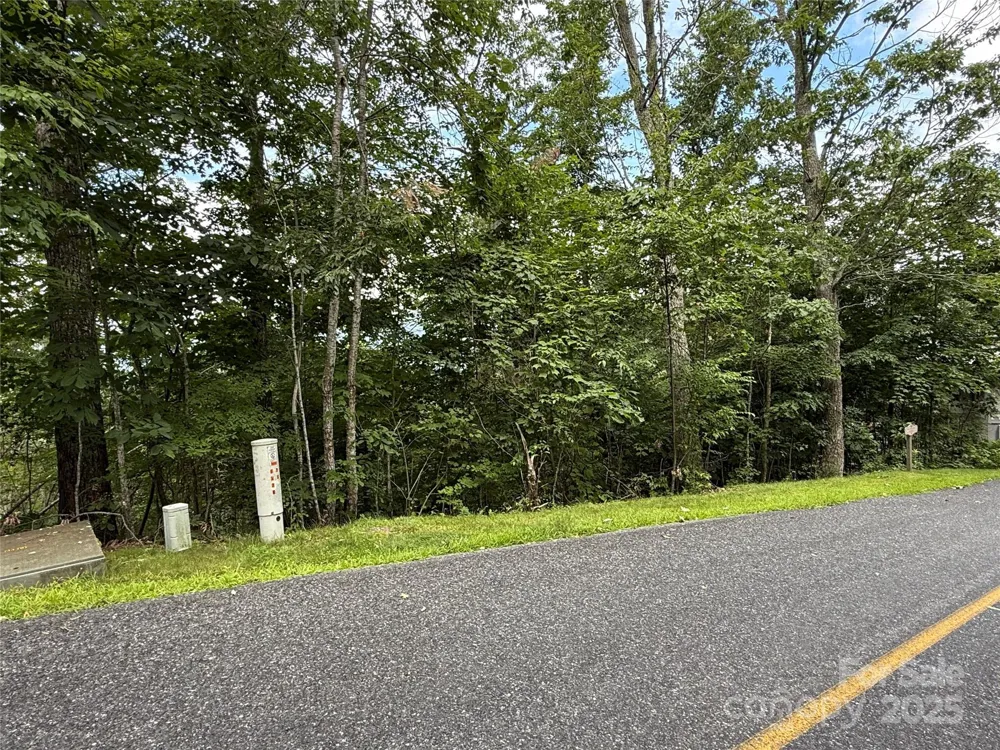 Lot 20 Heritage Ridge Road #20/4 Burnsville, NC 28714