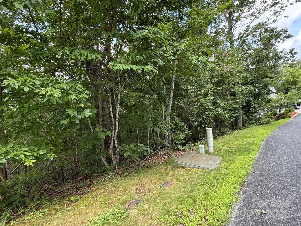 Lot 20 Heritage Ridge Road #20/4 Burnsville, NC 28714