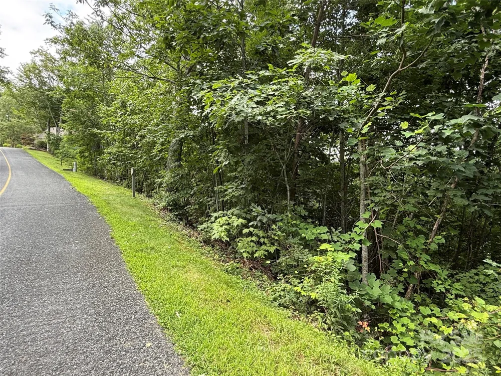 Lot 20 Heritage Ridge Road #20/4 Burnsville, NC 28714