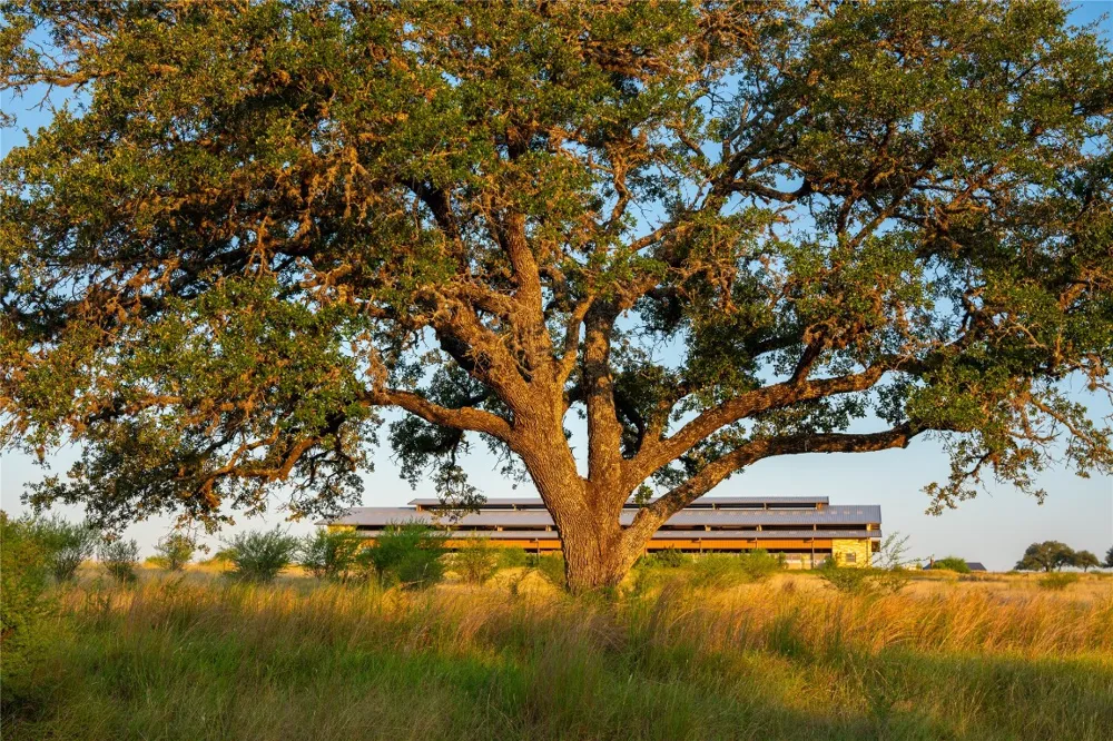 RR #1323 Johnson City, TX 78636