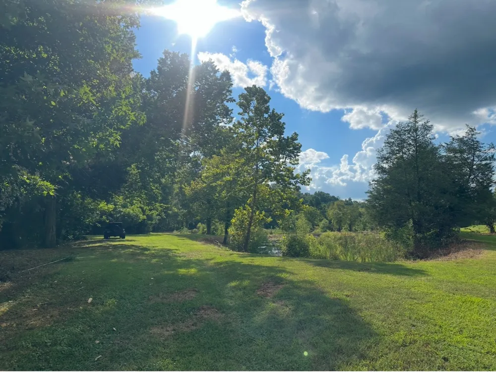 8884 Highway 412 W Linden, TN 37096