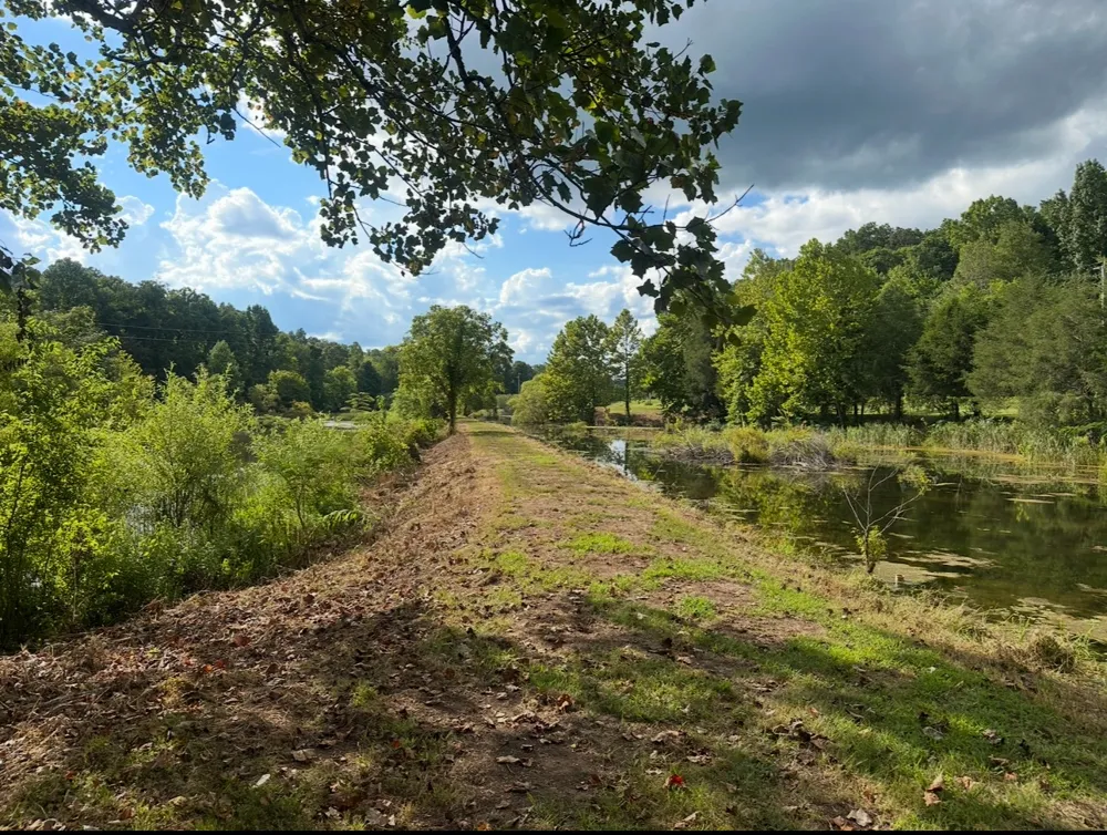 8884 Highway 412 W Linden, TN 37096