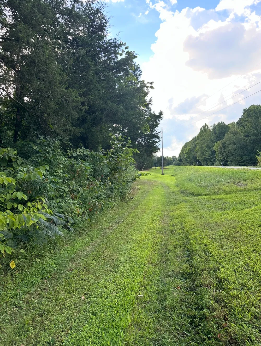 8884 Highway 412 W Linden, TN 37096
