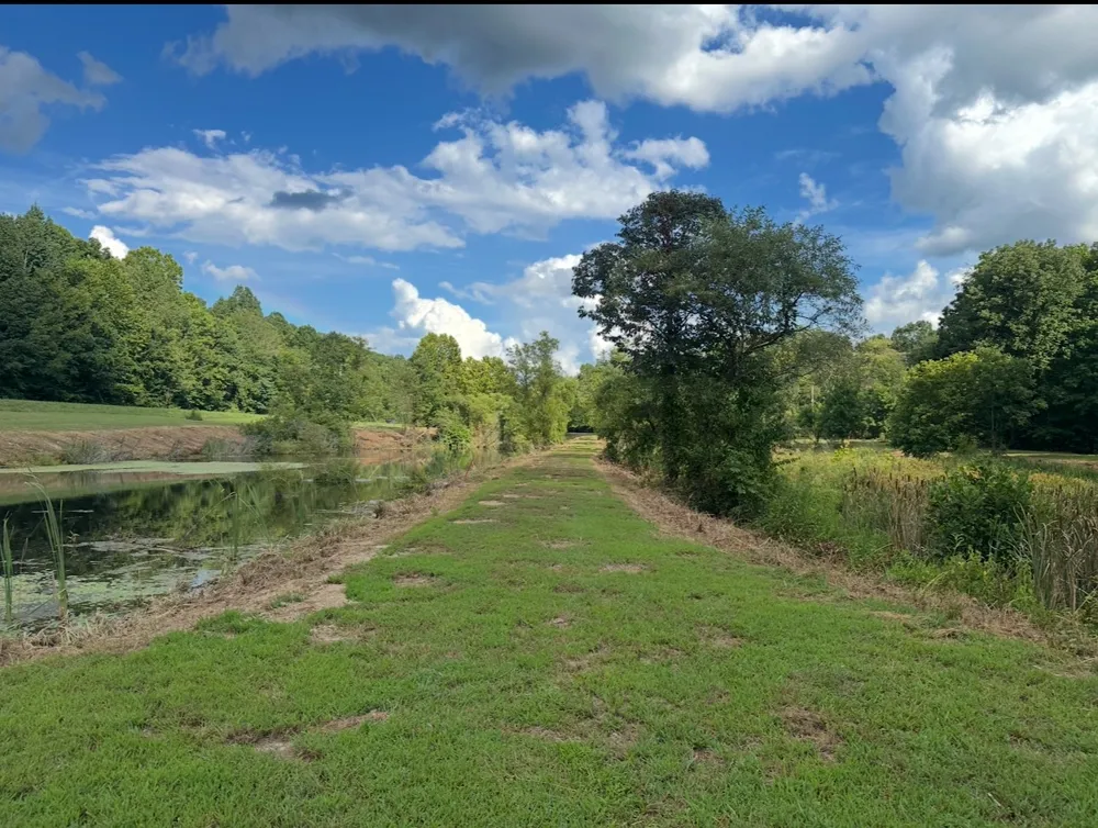 8884 Highway 412 W Linden, TN 37096