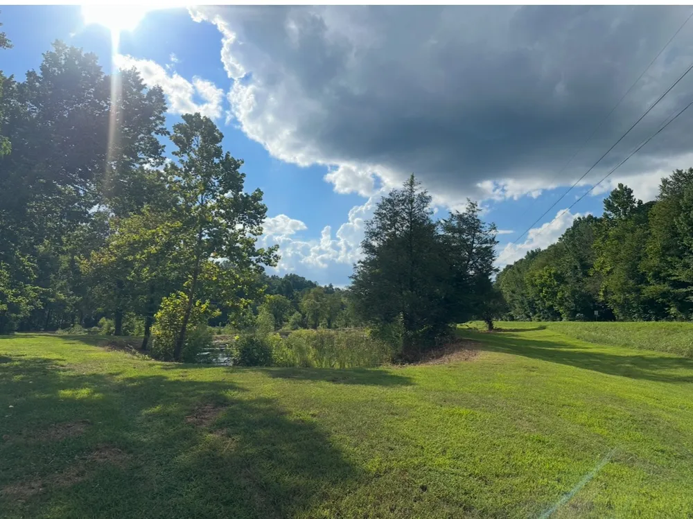 8884 Highway 412 W Linden, TN 37096