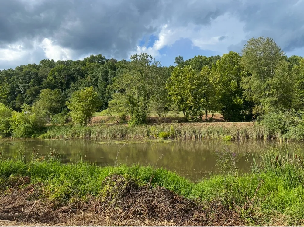 8884 Highway 412 W Linden, TN 37096