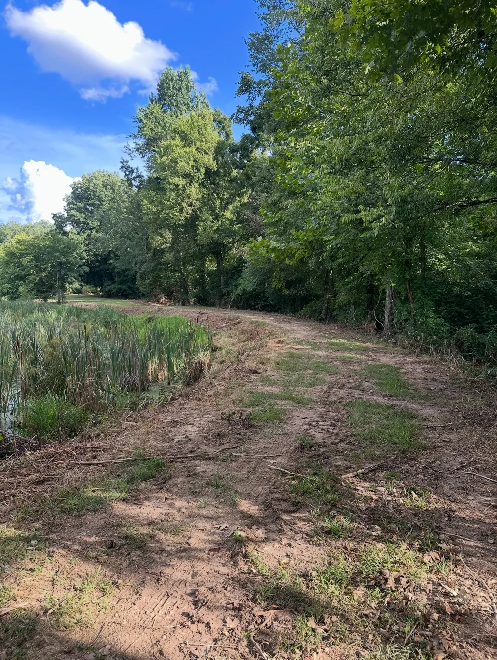 8884 Highway 412 W Linden, TN 37096