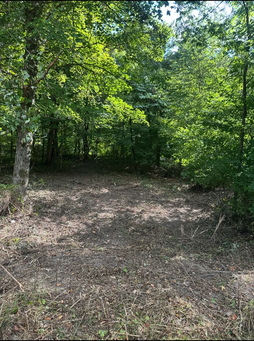 8884 Highway 412 W Linden, TN 37096