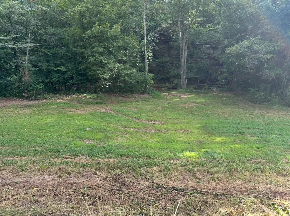 8884 Highway 412 W Linden, TN 37096