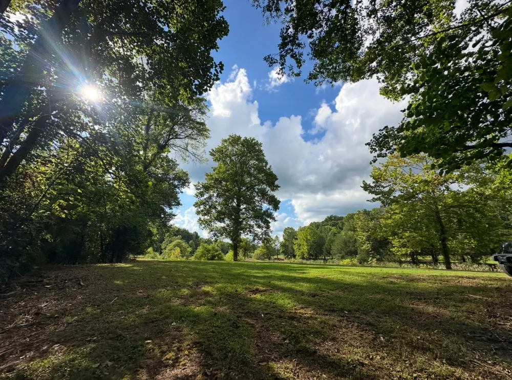 8884 Highway 412 W Linden, TN 37096