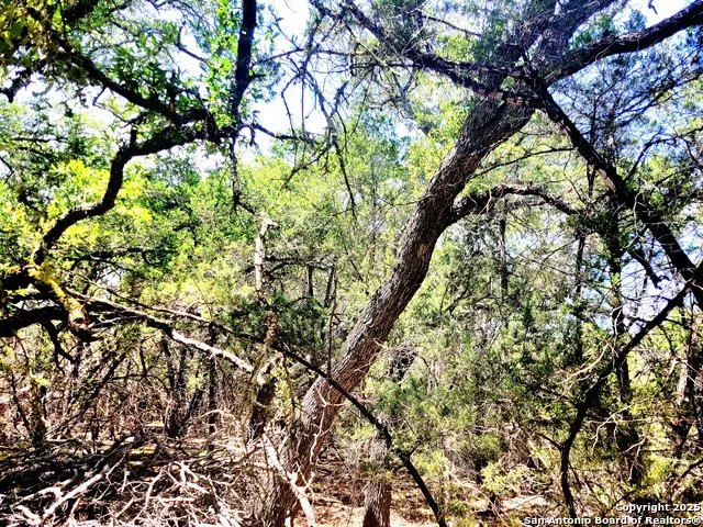1680 Stallion Springs Dr Fischer, TX 78623
