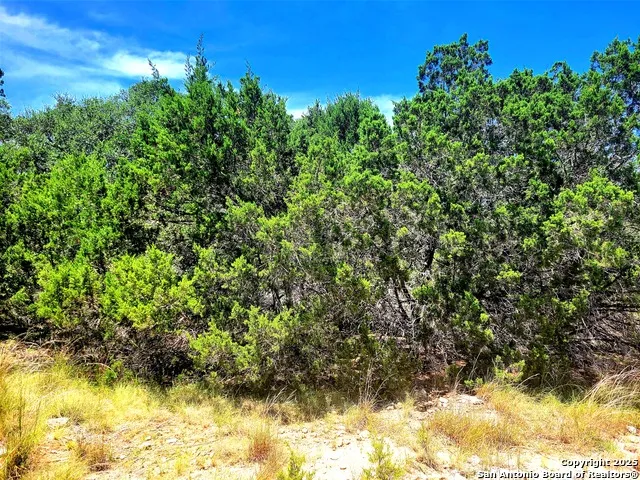 1680 Stallion Springs Dr Fischer, TX 78623