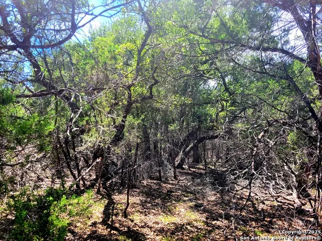 1680 Stallion Springs Dr Fischer, TX 78623