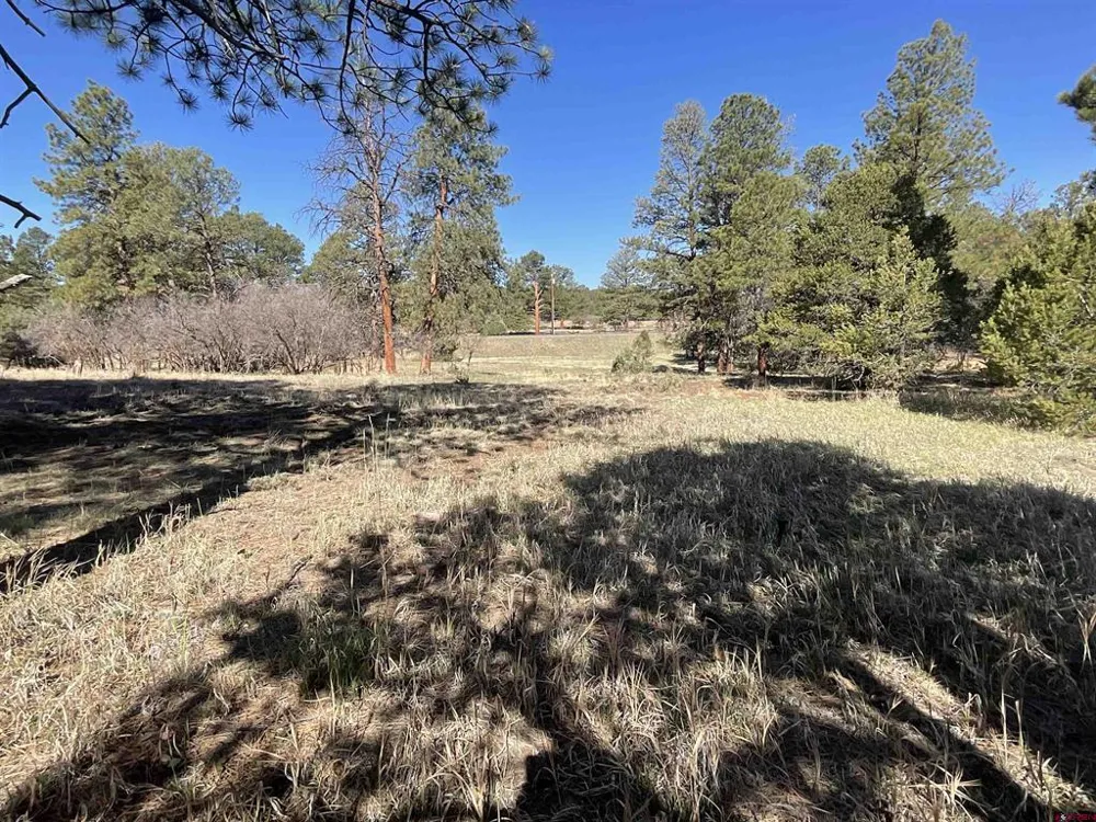 S Badger Trail Ridgway, CO 81432