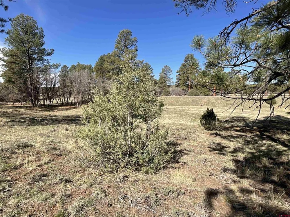 S Badger Trail Ridgway, CO 81432
