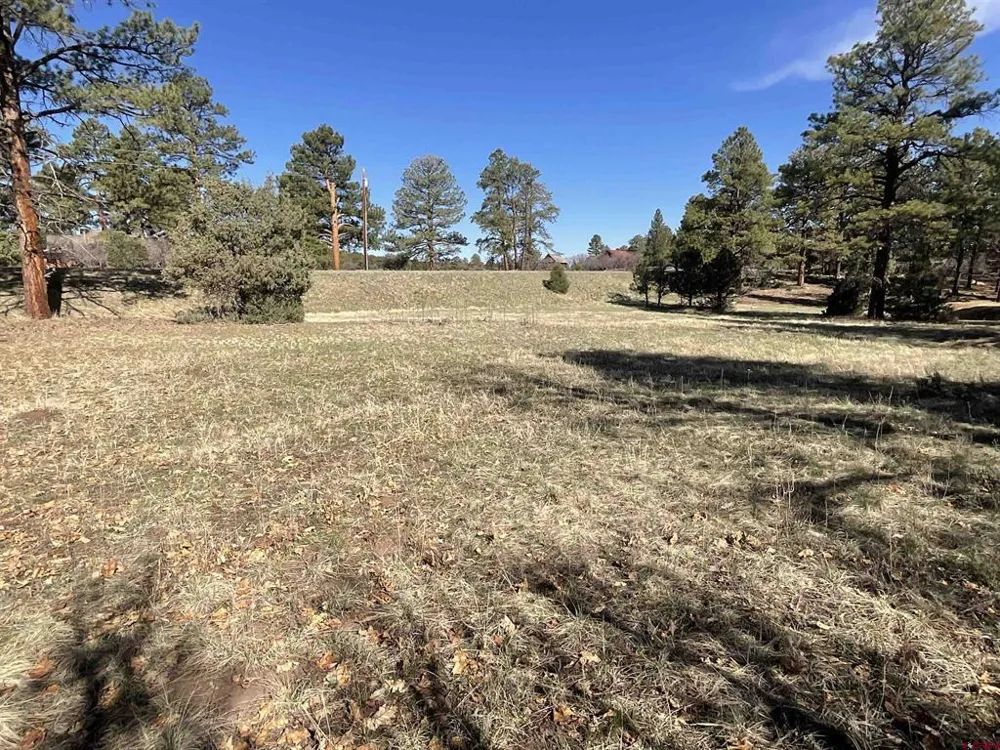 S Badger Trail Ridgway, CO 81432