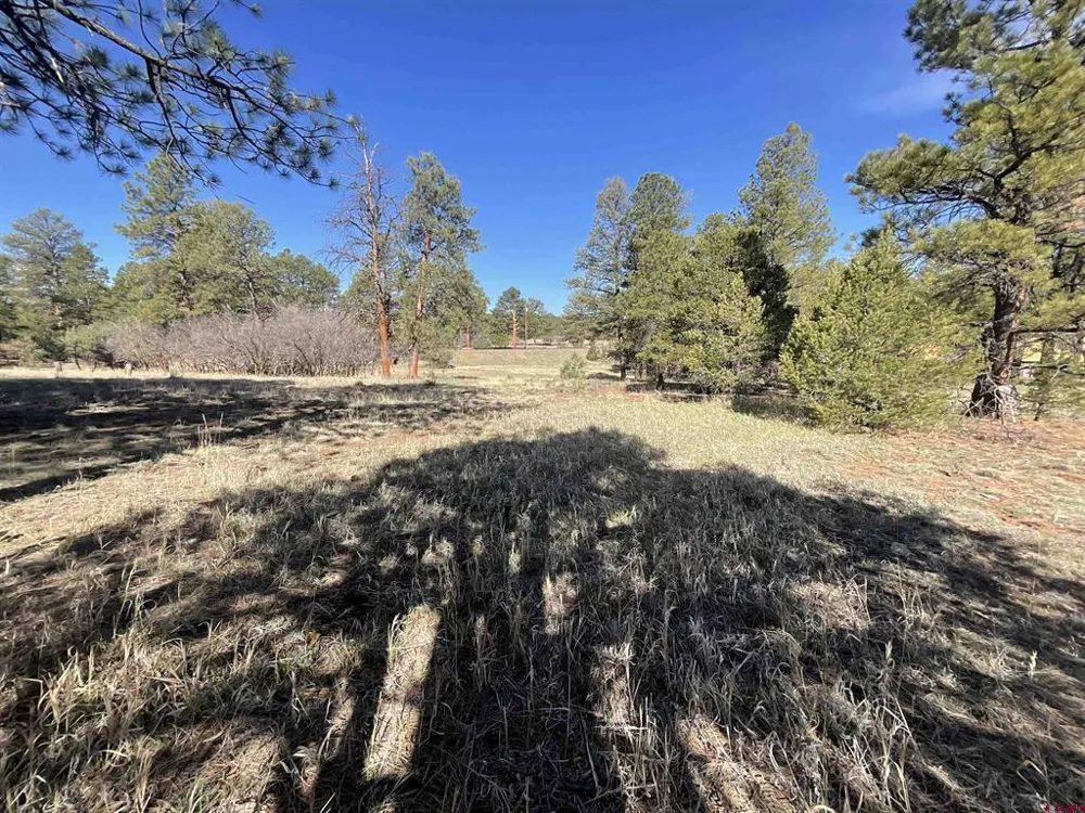 S Badger Trail Ridgway, CO 81432