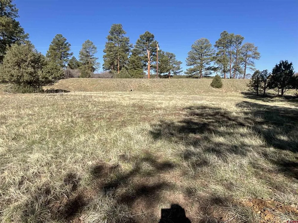 S Badger Trail Ridgway, CO 81432