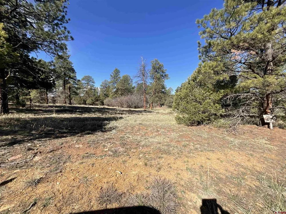 S Badger Trail Ridgway, CO 81432