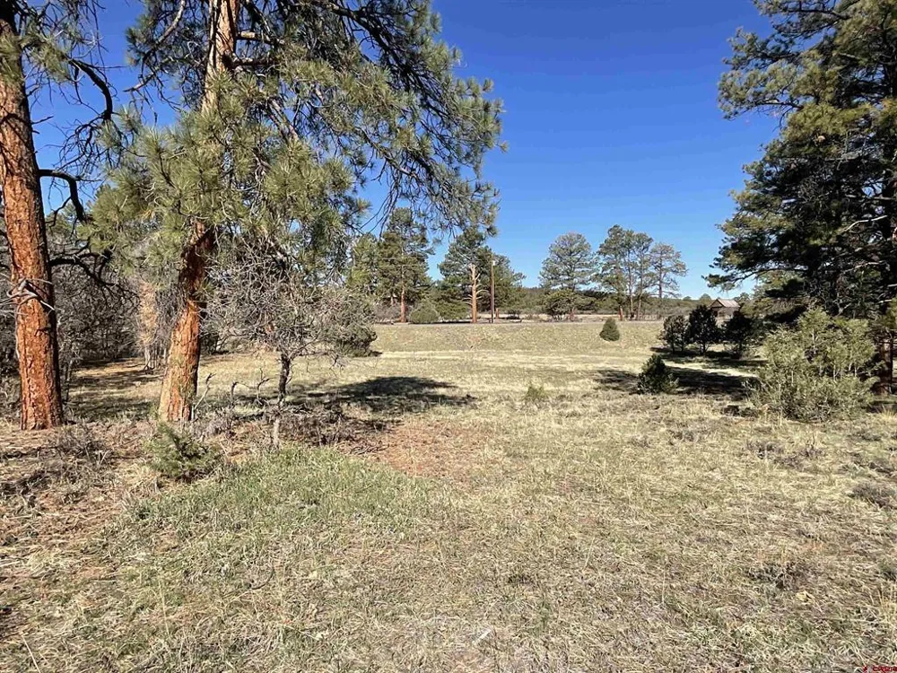 S Badger Trail Ridgway, CO 81432