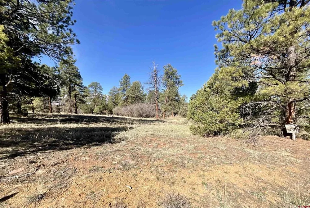 S Badger Trail Ridgway, CO 81432