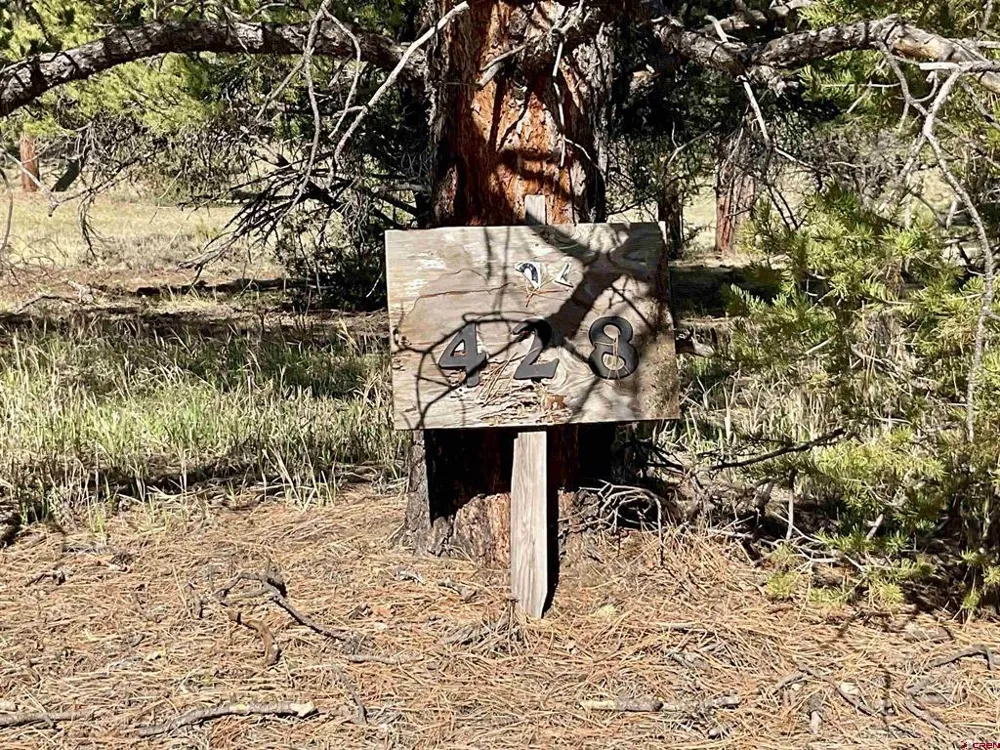 S Badger Trail Ridgway, CO 81432
