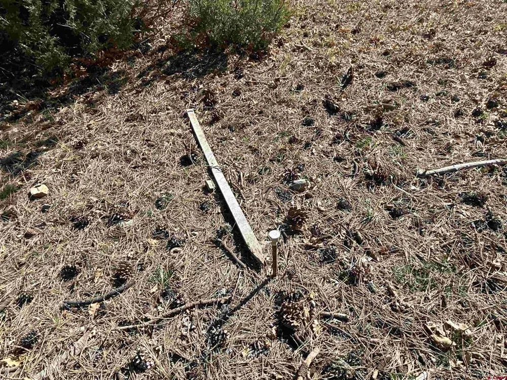 S Badger Trail Ridgway, CO 81432