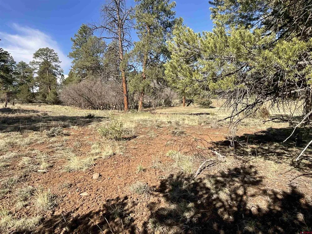 S Badger Trail Ridgway, CO 81432