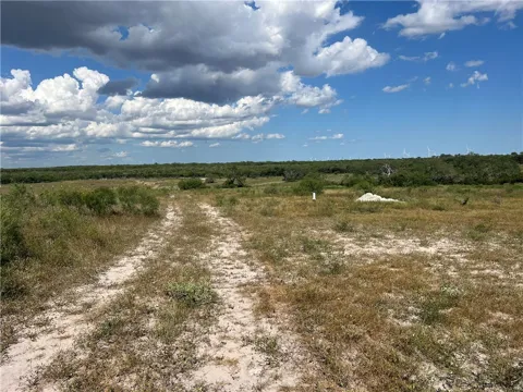 County Road 351