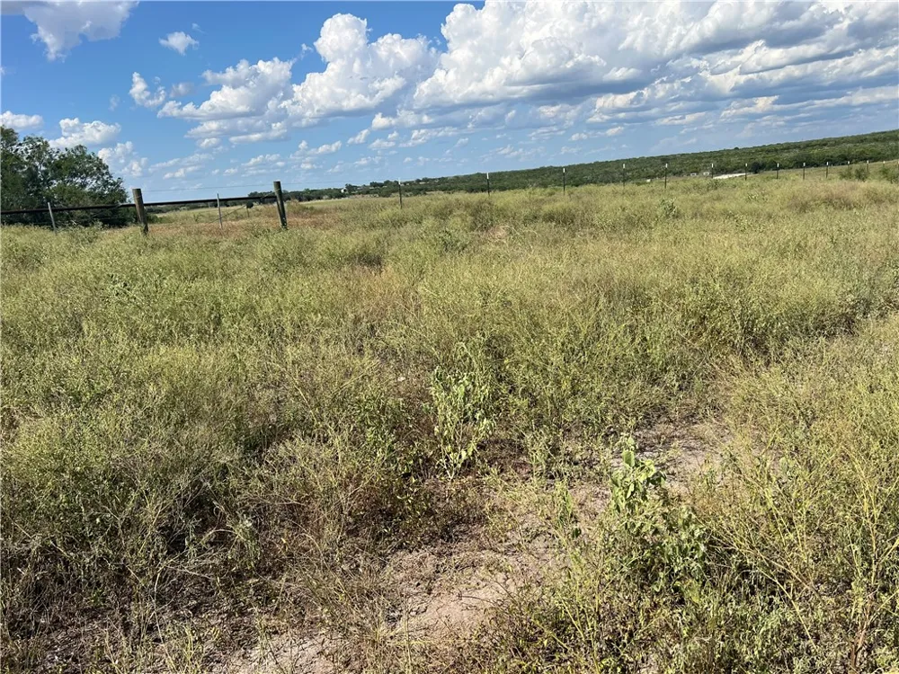 County Road 351 Mathis, TX 78368