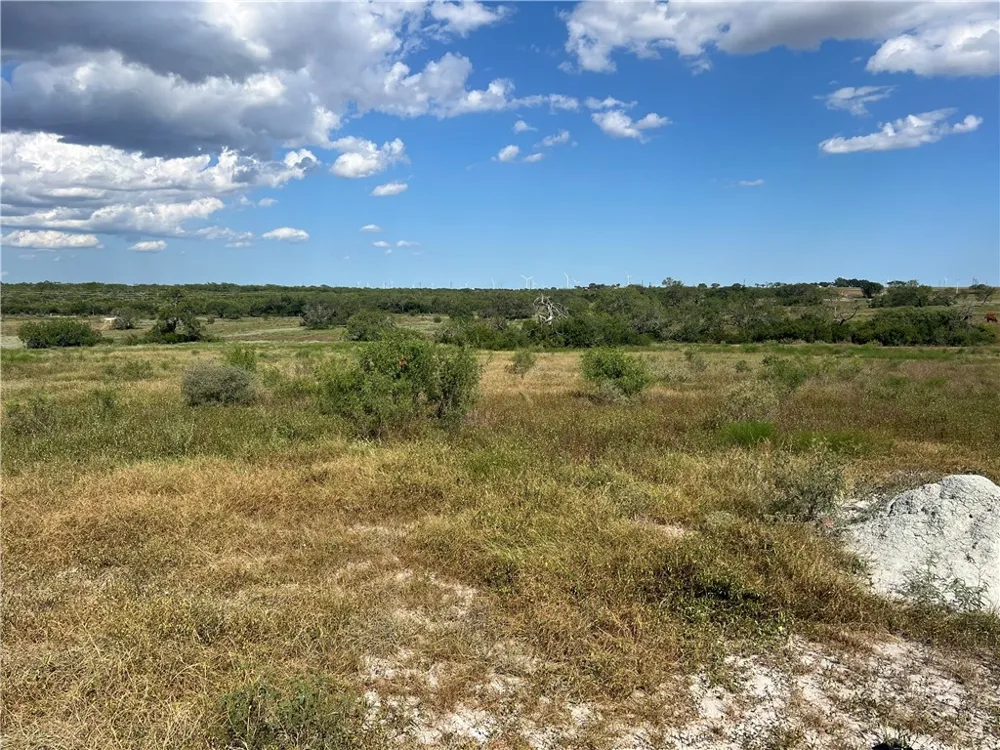 County Road 351 Mathis, TX 78368