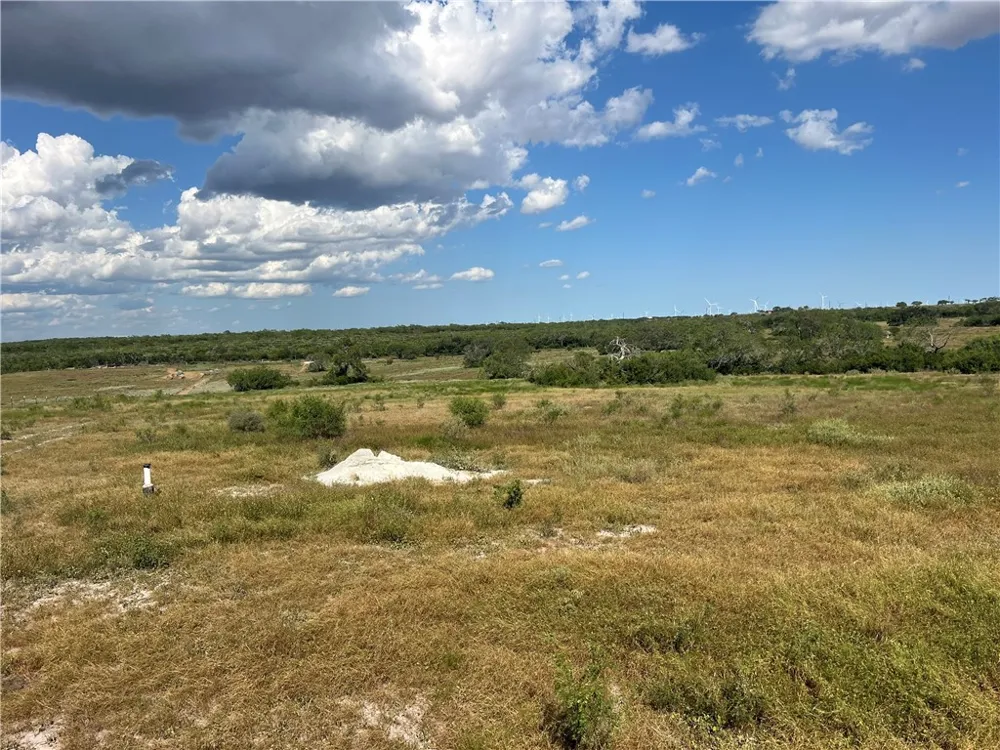 County Road 351 Mathis, TX 78368