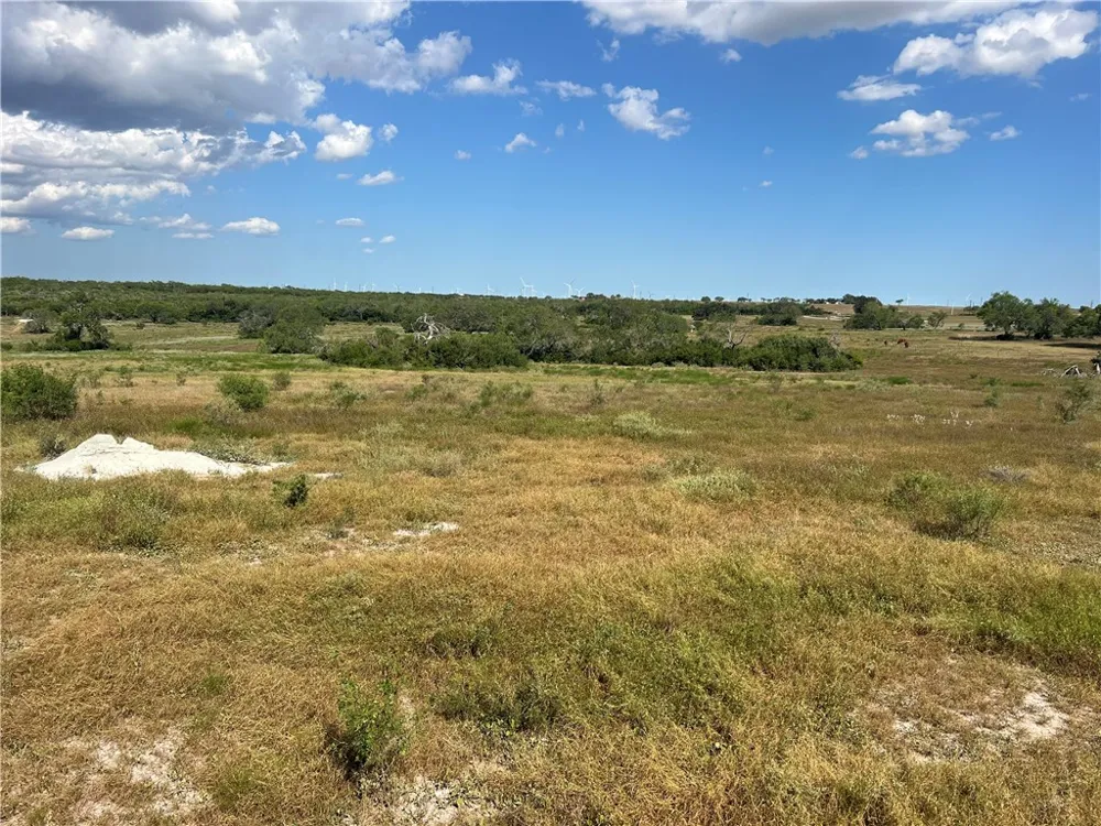 County Road 351 Mathis, TX 78368