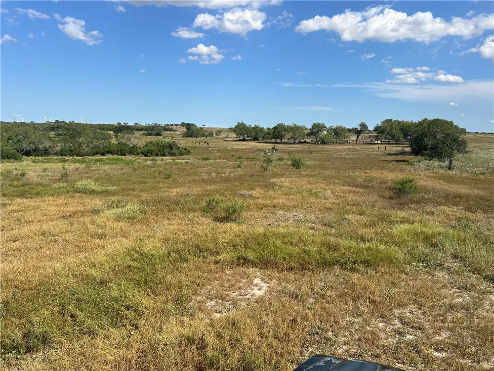County Road 351 Mathis, TX 78368