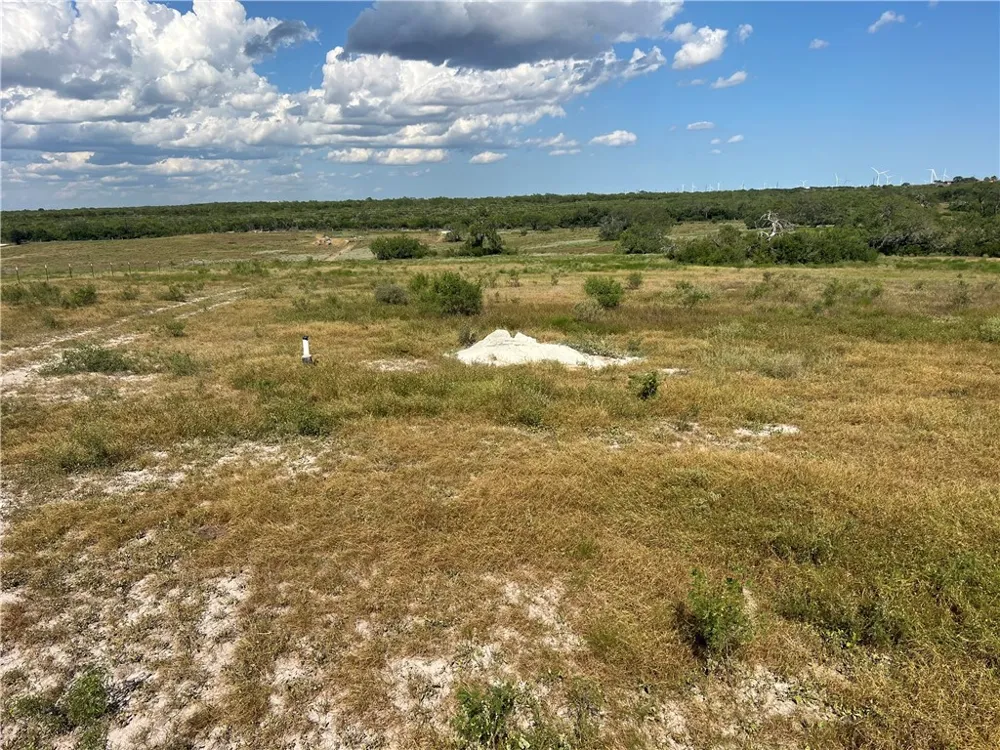 County Road 351 Mathis, TX 78368