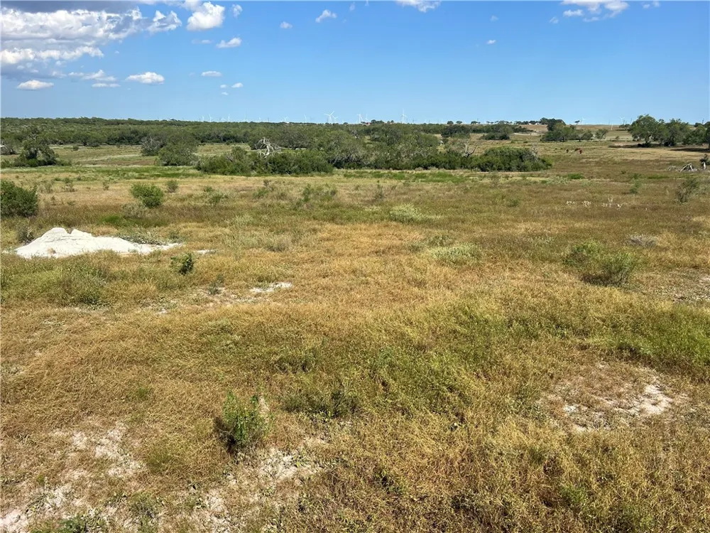 County Road 351 Mathis, TX 78368