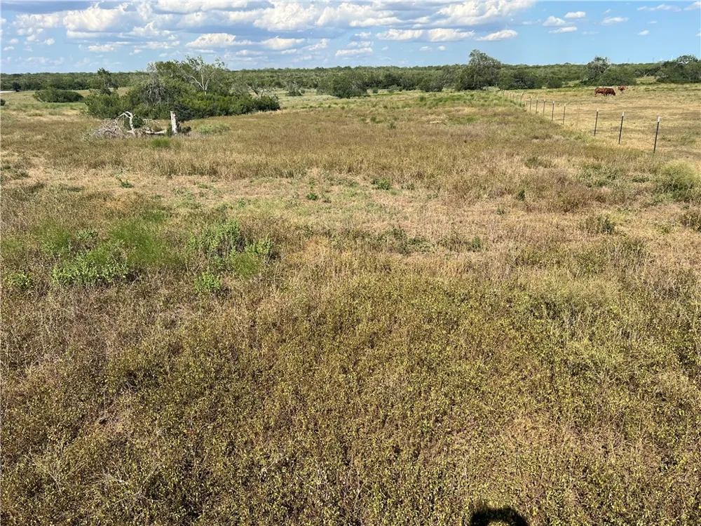 County Road 351 Mathis, TX 78368