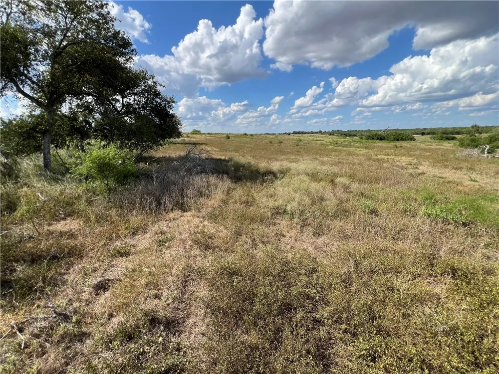 County Road 351 Mathis, TX 78368