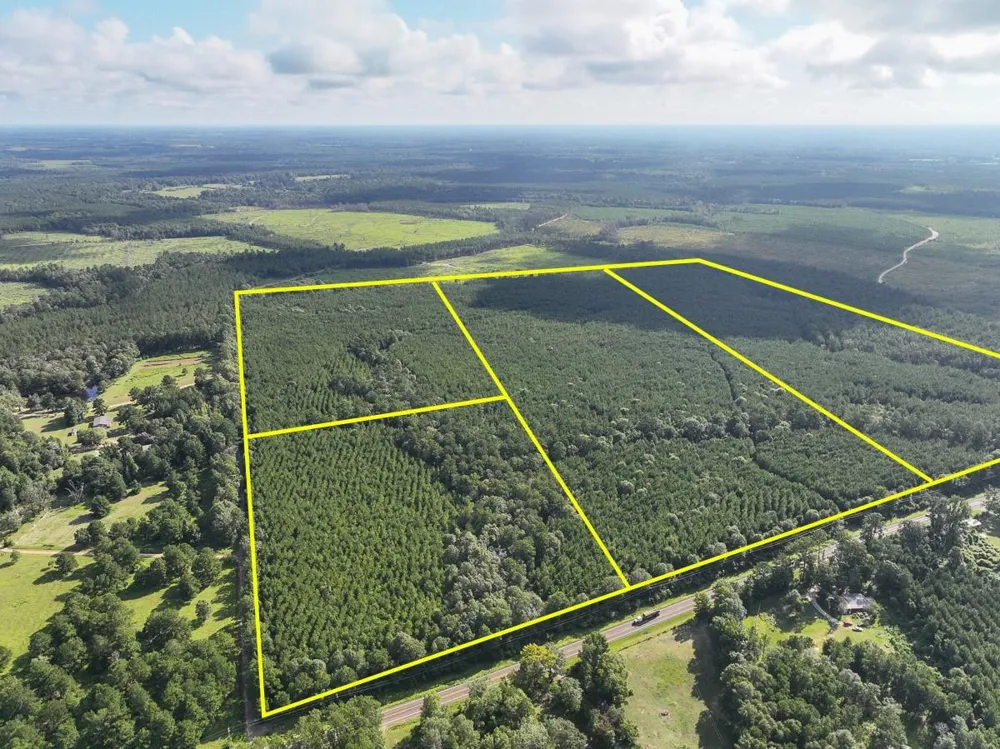 5 Fm 1013 Kirbyville, TX 75956