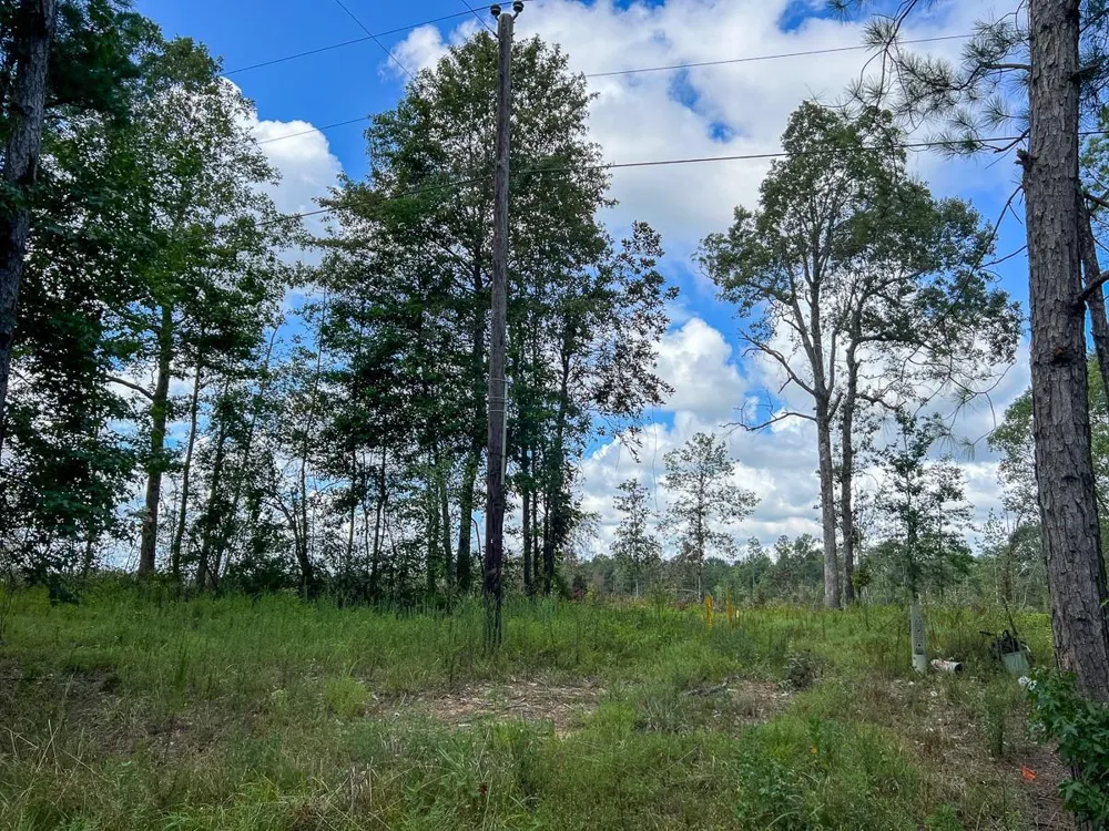 4 Fm 92 Spurger, TX 77660